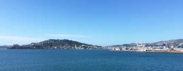 wellington-view
